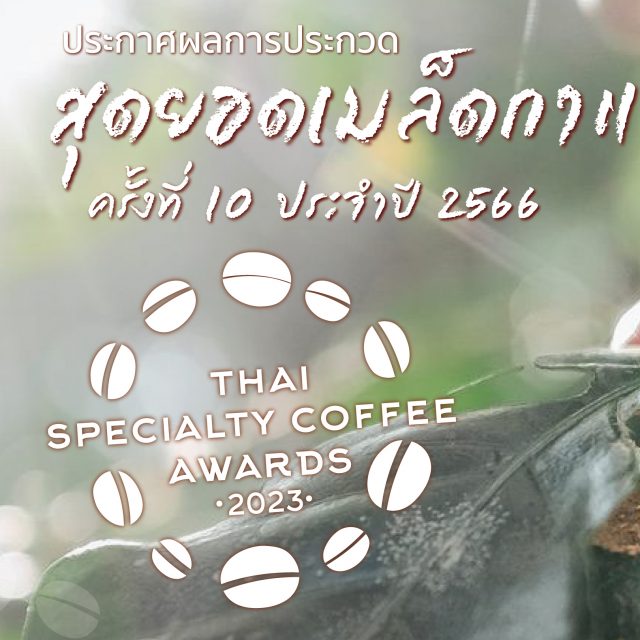 SCATH Specialty Coffee Association of Thailand ประกาศผลการประกวดสุดยอดเมล็ดกาแฟพิเศษไทย ครั้งที่ 10 ประจำปี 2566 ‘Thai Specialty Coffee Awards 2023’